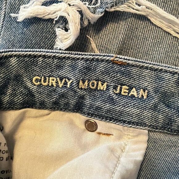 American Eagle Size 20 Curvy Mom Jean with Distressing - Picture 5 of 9